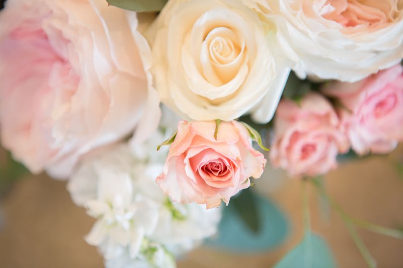 Roses roses douces Interflora – bouquet délicat
